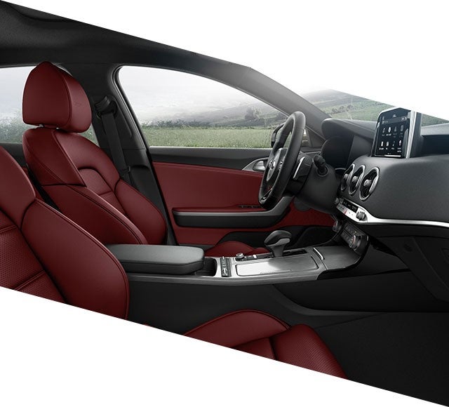 Union County Kia in Monroe NC 2019 Kia Stinger